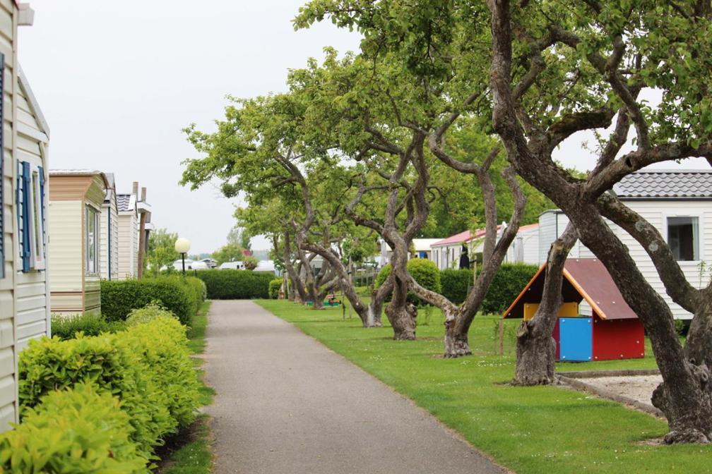 Siblu Camping In De Bongerd โอชต์คาเปลเล ภายนอก รูปภาพ